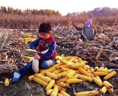 徽县吃瓜网红事件真相视频,真相视频背后的惊人内幕